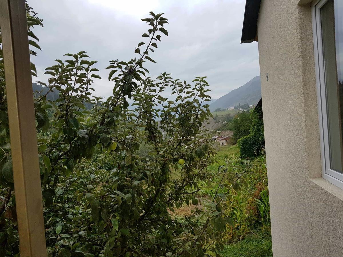 Guesthouse Guram Baba Mestia Zewnętrze zdjęcie